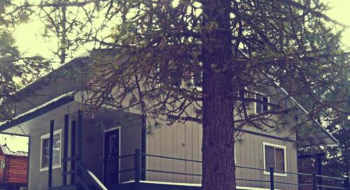 cropped-header1-1024x555